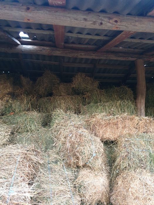 Dau baloti  coasa a doua și a 3