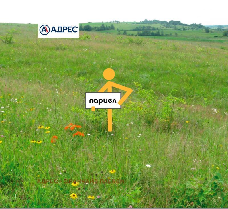 Парцел в Плевен, област-с.Върбица площ 3000 цена 25000