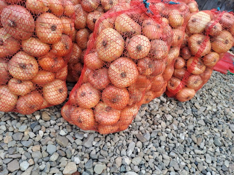 Ceapa de vazare 2, lei kg