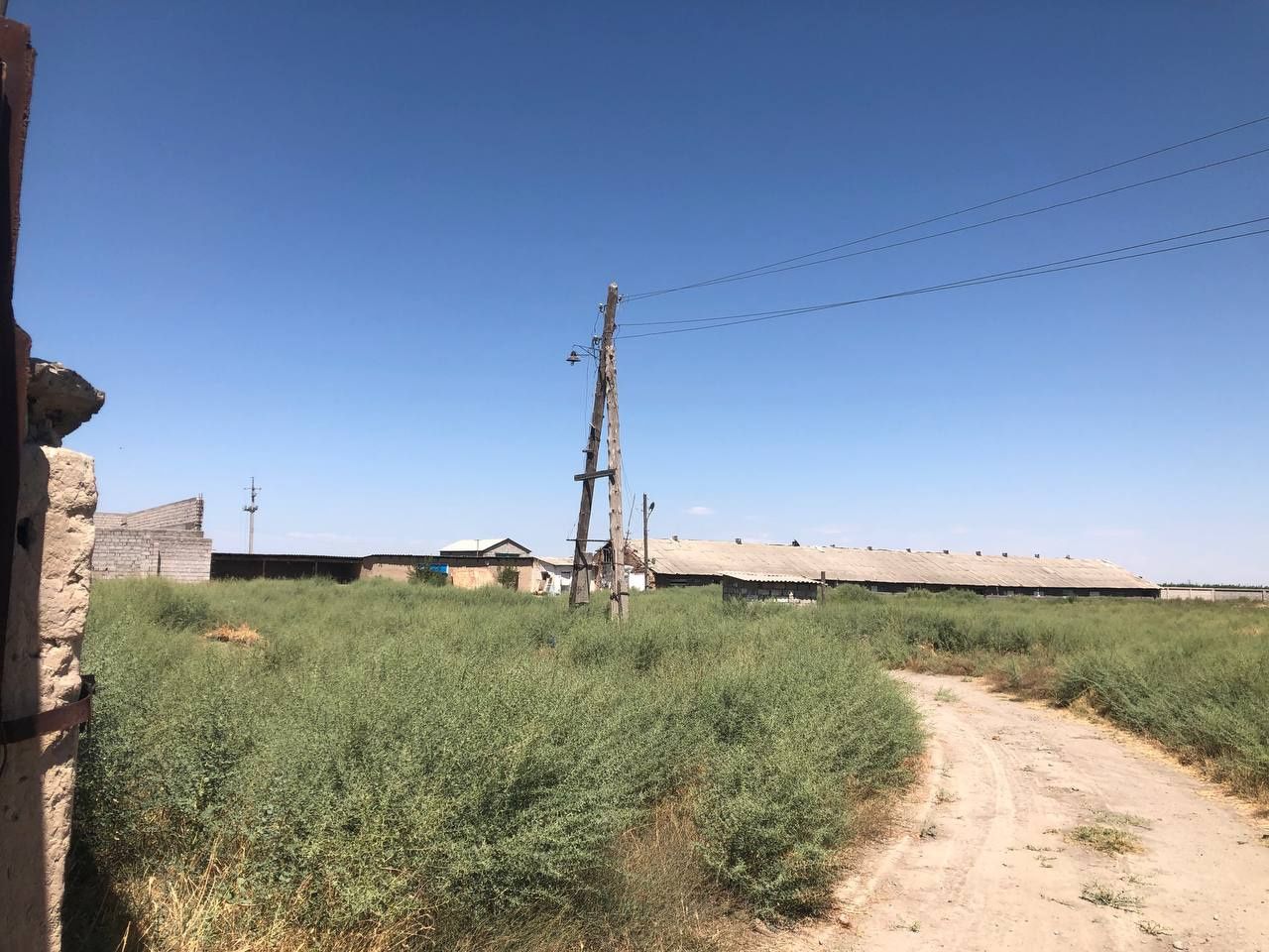Tayyor ferma sotiladi