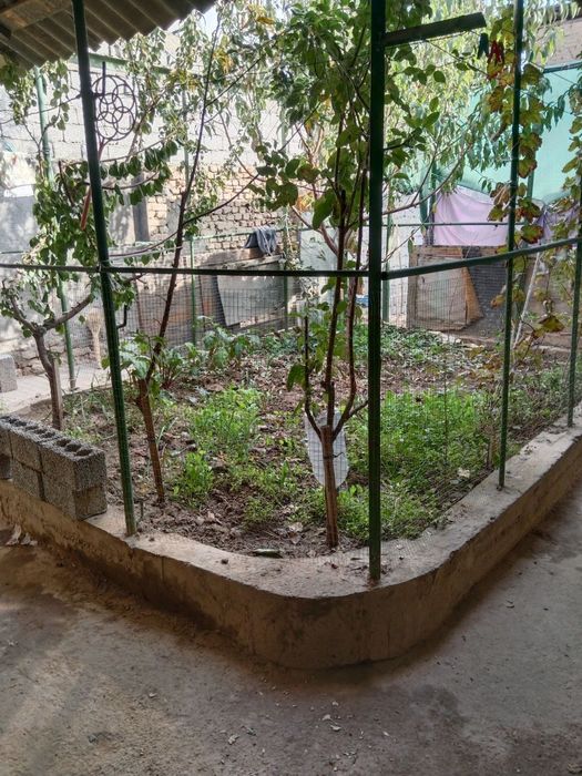 Продажа дома Шайхантахурский р-н 1,7 соток 4 комнатный дом