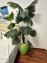 Planta decorativa / palmier / pom