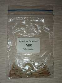 Адениум семена оптом