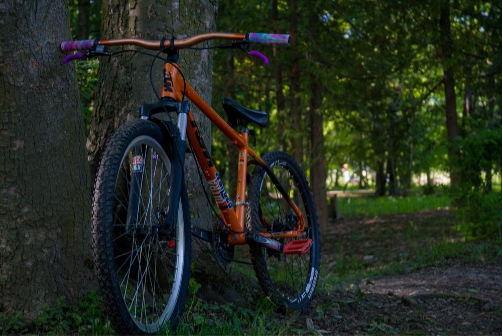 MTB Custom KTM Mullet