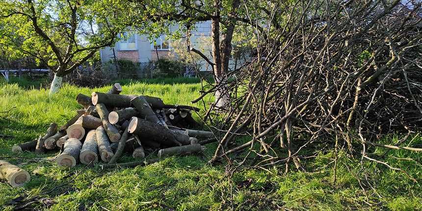 Defrișare - Tai tund iarba - debarasare resturi vegetale - erbicidare