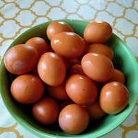 Яйца домашние натуральный продукт.