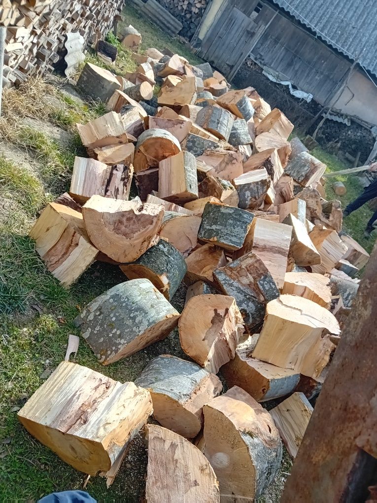 Vând lemne de foc