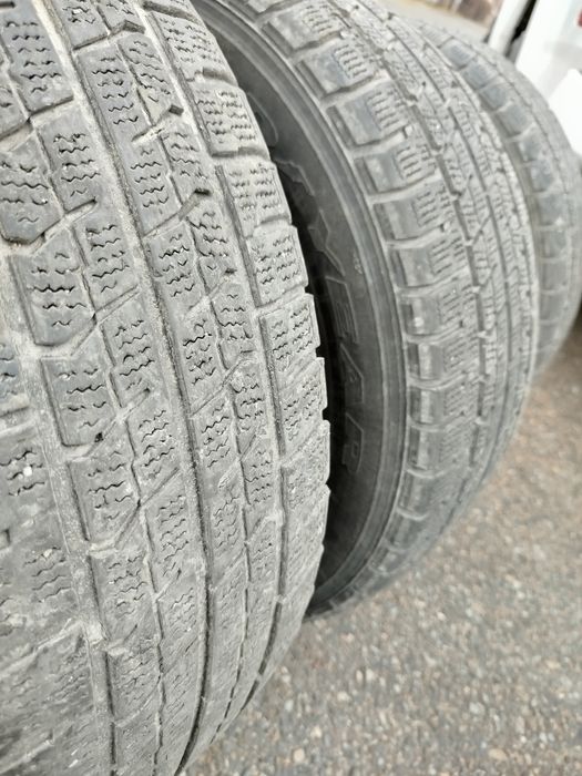 Жагдай жаксы кыстан смело шыгасын