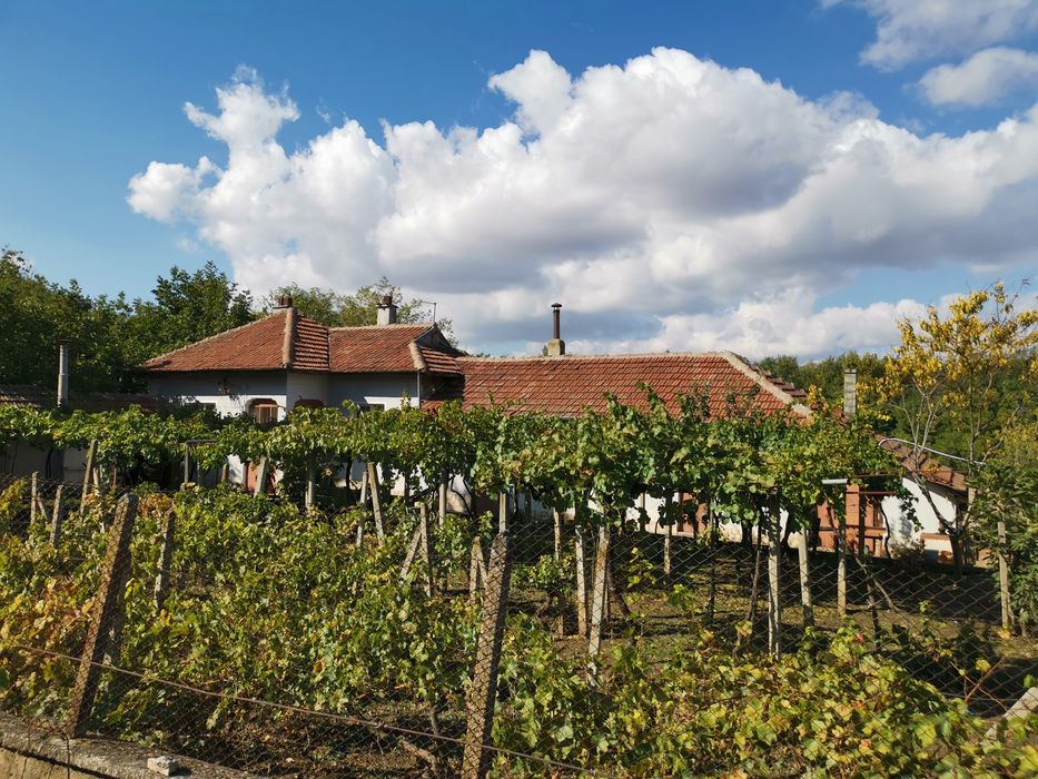 Продавам къща в село Пелишат, Плевенско