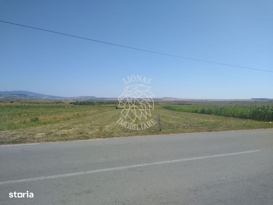 Teren 20000 mp (2 ha)-parcelabil-ideal cabane/agricultura/ferma-Jelna