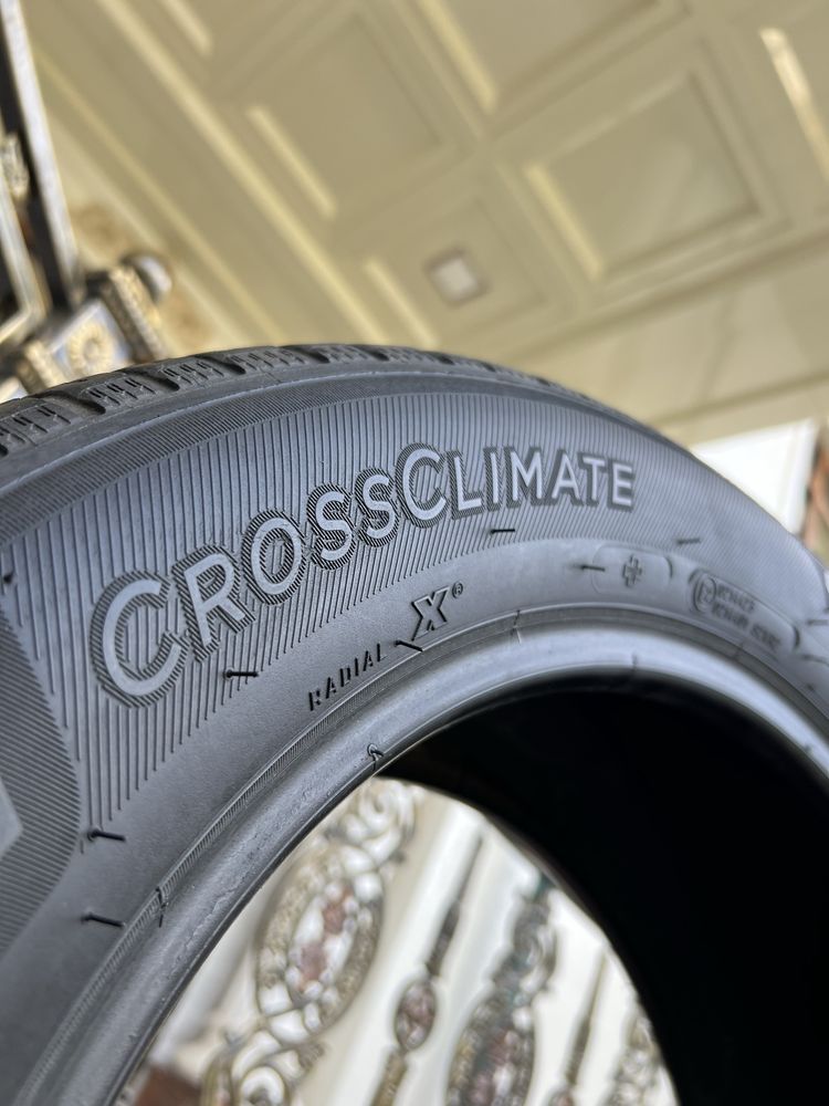 Michelin balon sotiladi