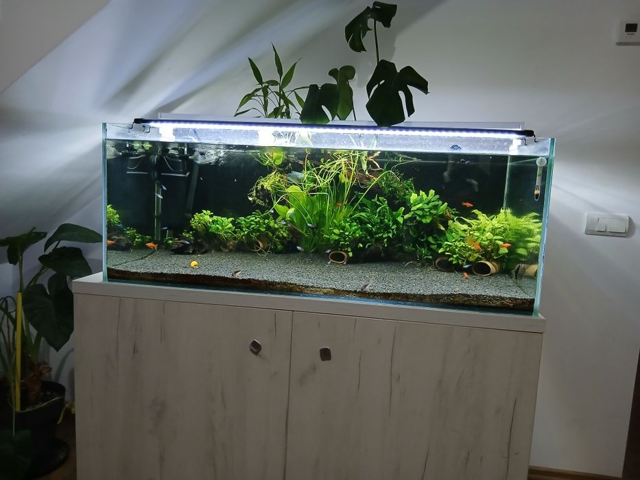 Acvariu 360L + plus stand