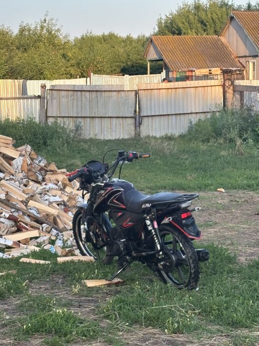 Альфа рс 12 чамп
