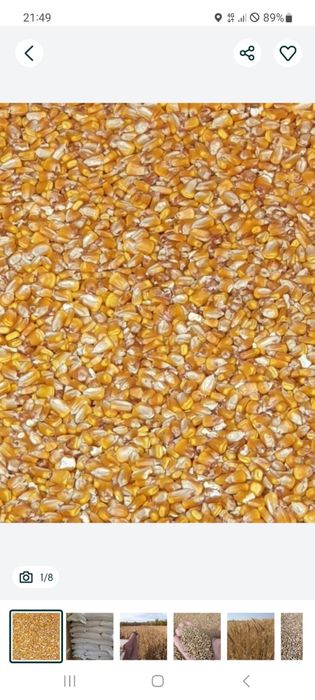 Porumb livrat acasă