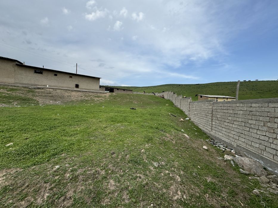 Ferma-kora sotiladi...