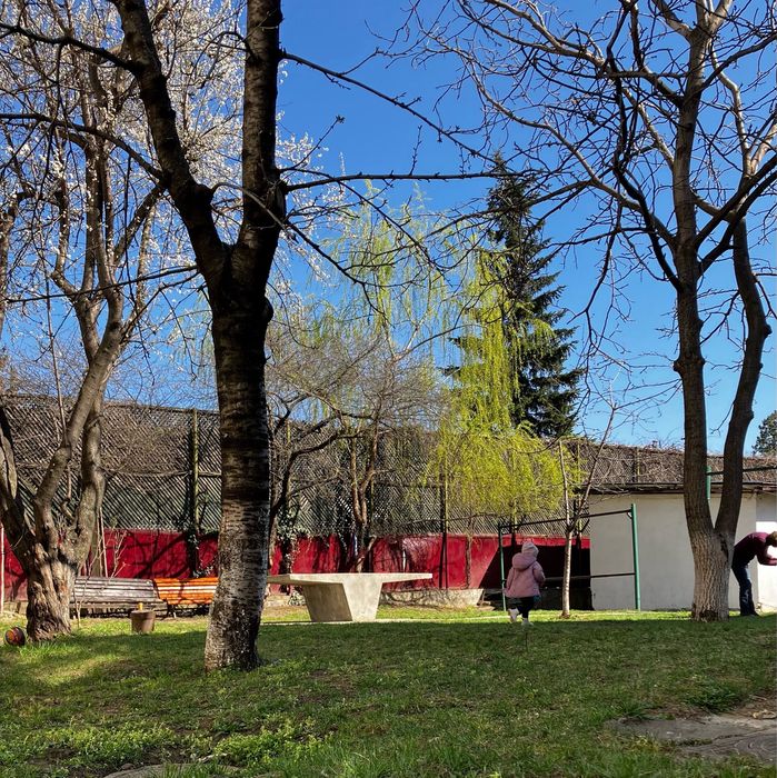 PF inchiriez studio 18mp la bulevard