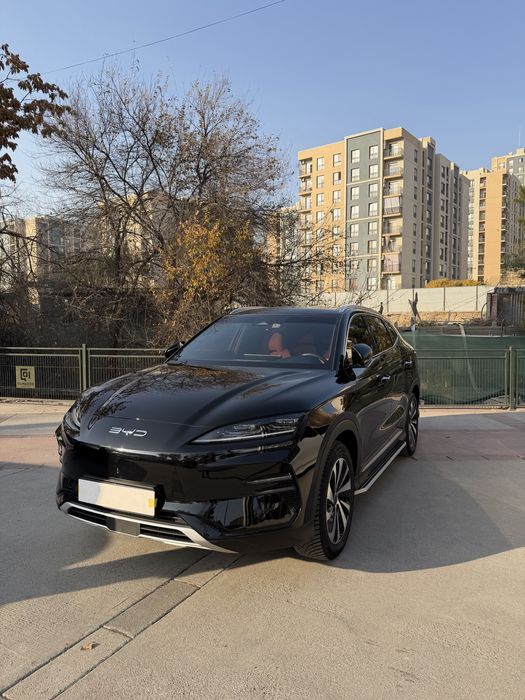 2024 Byd chempion 605