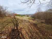 Teren Intravilan 2.938 mp | Tocile