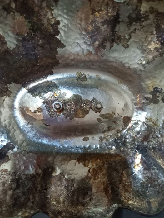 Fruptieră argintată