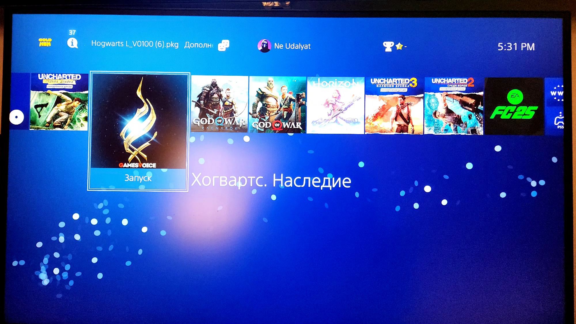 Playstation 4 SLIM HEN