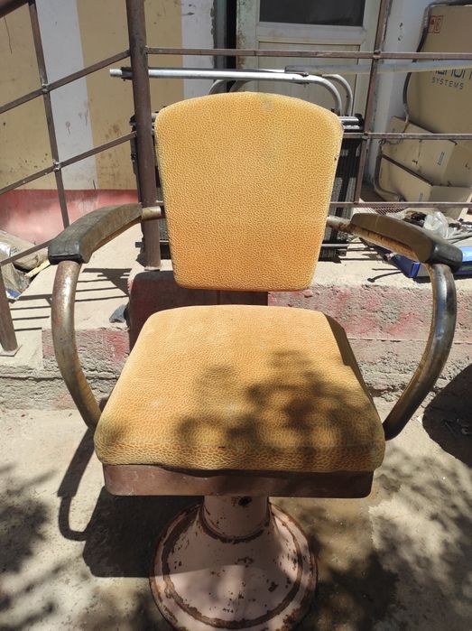 Шаштәрезлер ушын отырғыш сатылады