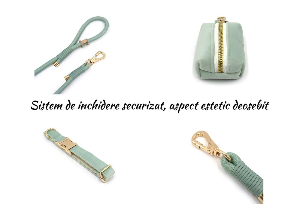 Set premium pentru câini