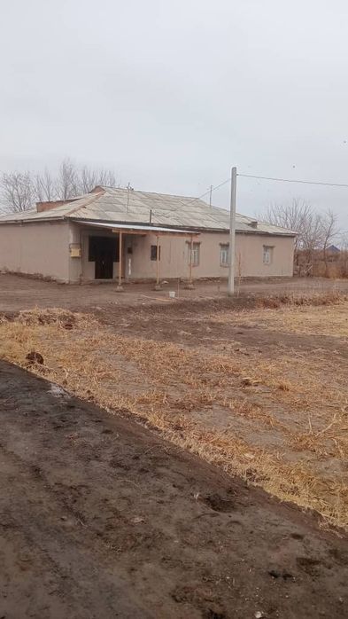 Абай ОФИ да Уй сатылады.