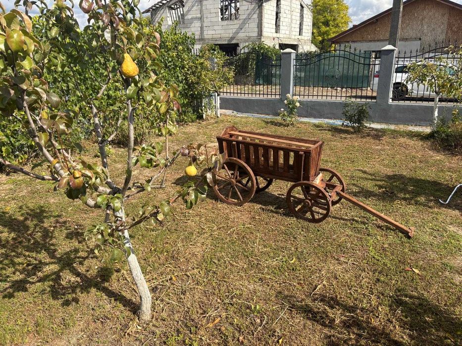Car Decorativ pentru gradina