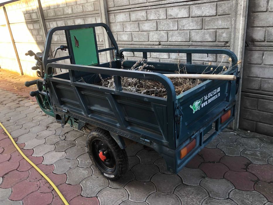 Triciclu electric MOVE Eco Cargo 500- 2019