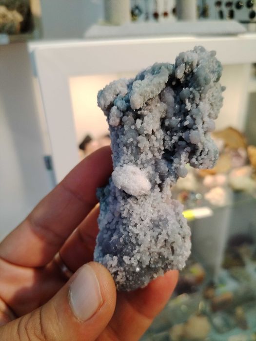 Гроздов ахат от Индонезия