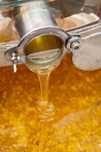 Miere de salcam, calitate deosebita si tinctura de propolis