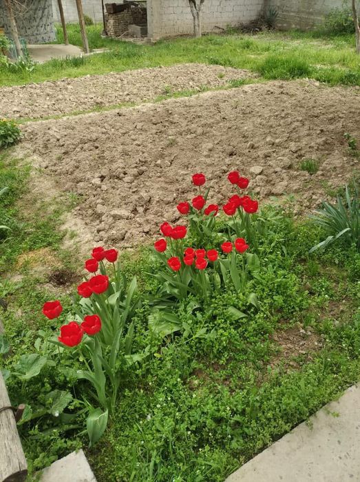 Продаётся  приватизированная дача