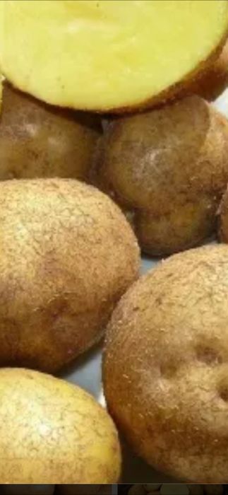 Продам домашний картофель сорт Киви,  домашнюю капусту  свежую,.