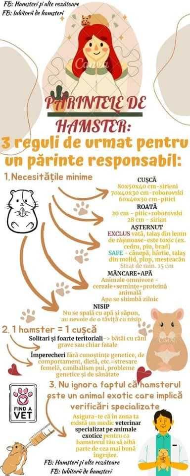 Vând hamsteri sirieni