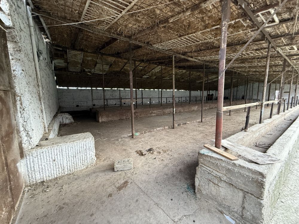 molxona ijaraga beriladi
