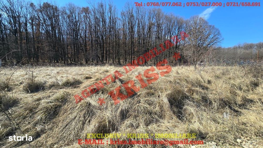 TEREN Hințești Tipografie 847 Mp 26M deschidere Utilități Lângă Pădure