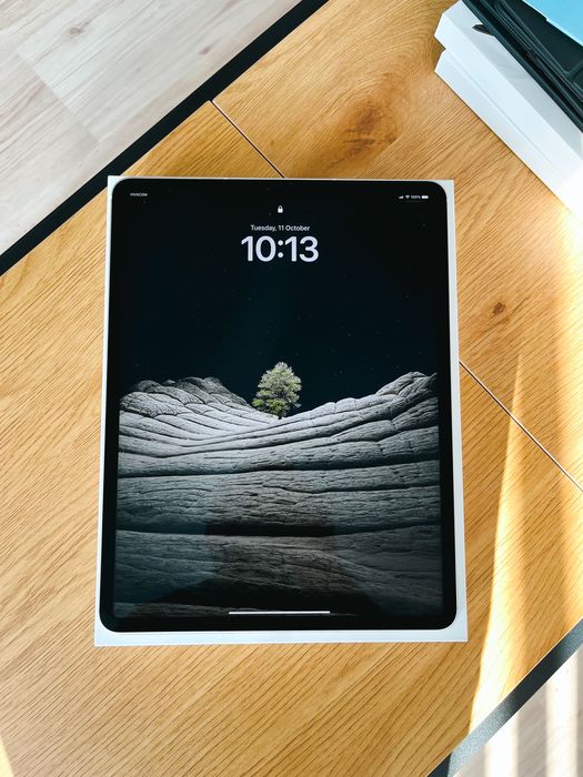 iPad Pro 12,9 M1 256GB Cellular - Silver