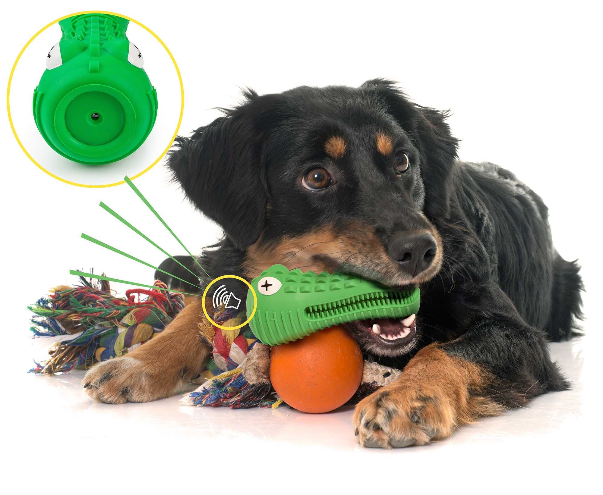 Dog Dental Chew Toy/ Jucarie de ros pentru caini