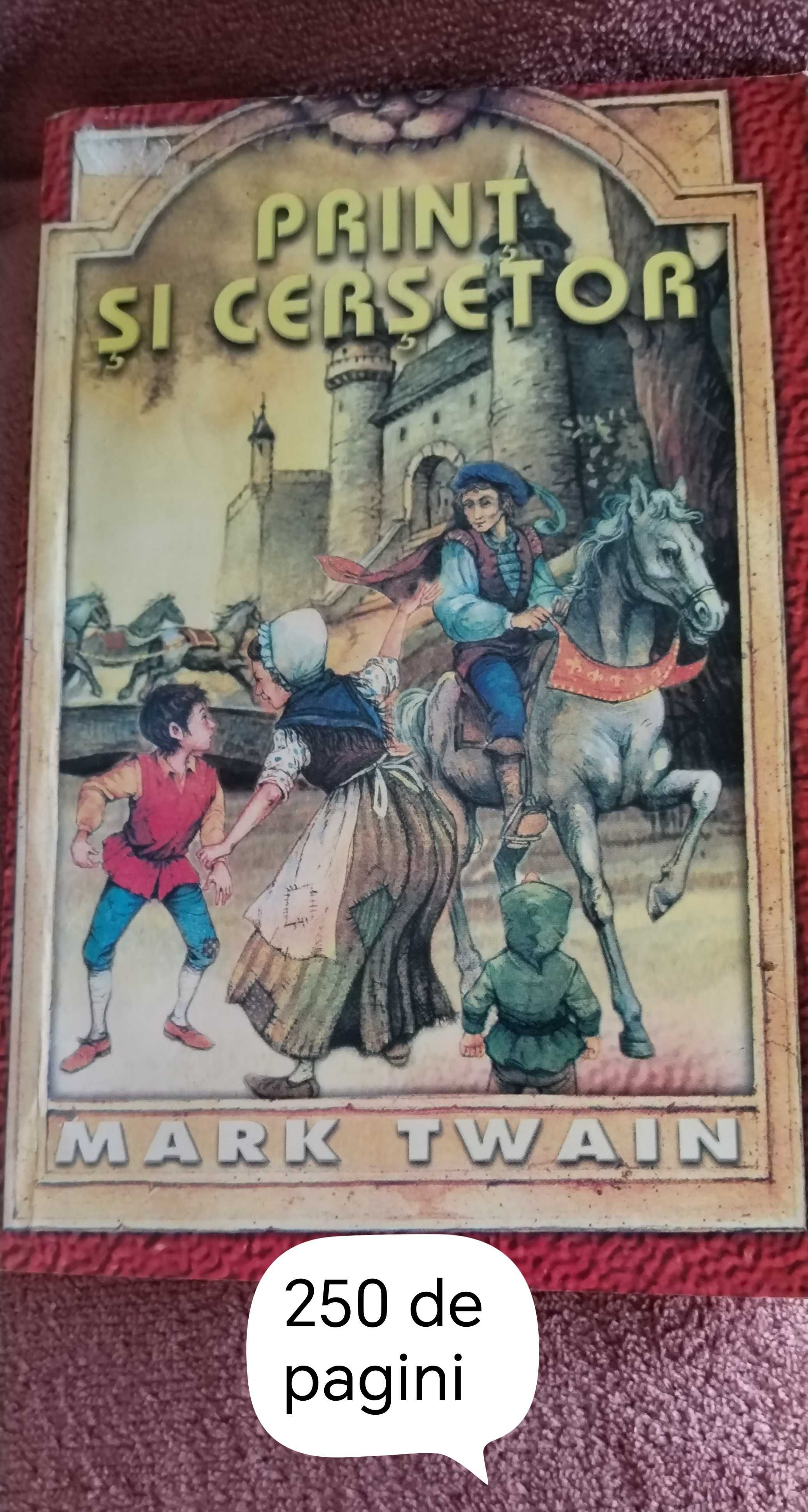 Geanta Magic English și cărți pentru copii