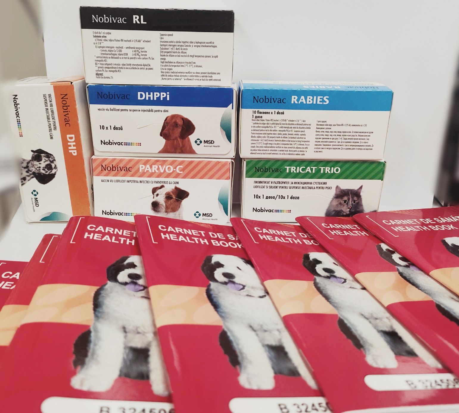 Vaccin câini si pisici 70lei/vaccinul, canet de sanatate 30lei