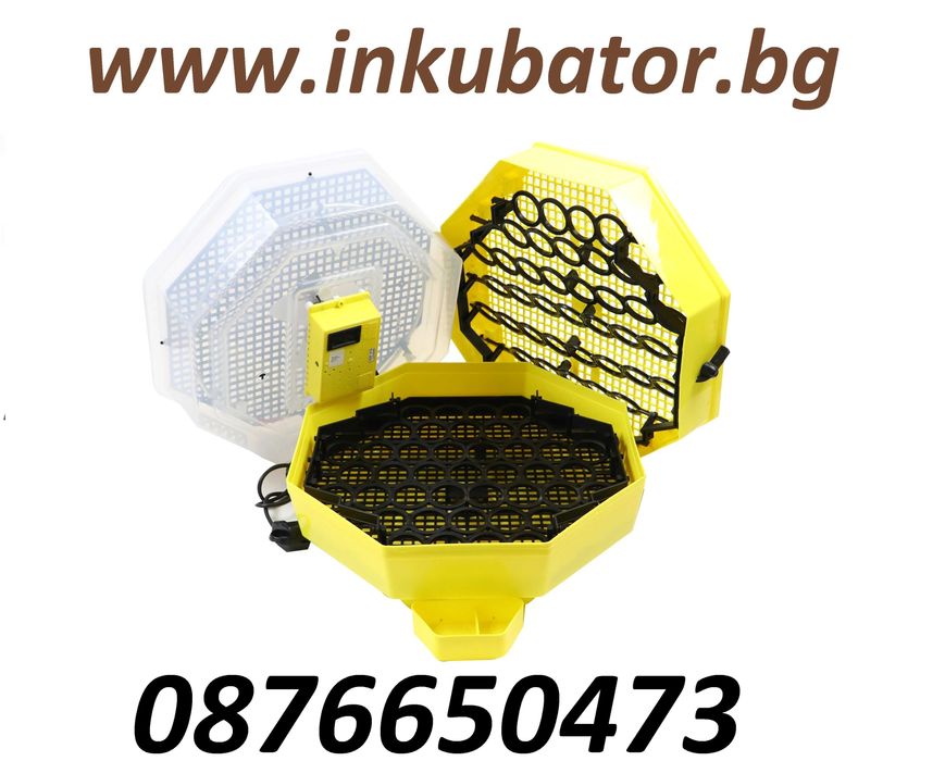 Директен вносител на румънски инкубатори Cleo 5 за люпене на пилета