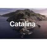 Apple MacOS Catalina USB-Stick MacBook Pro Air iMac Mac OS X