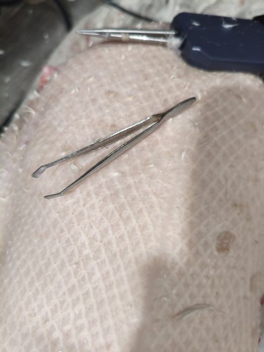 Мясо гусь молодой (4100), гусиный жир (1000)