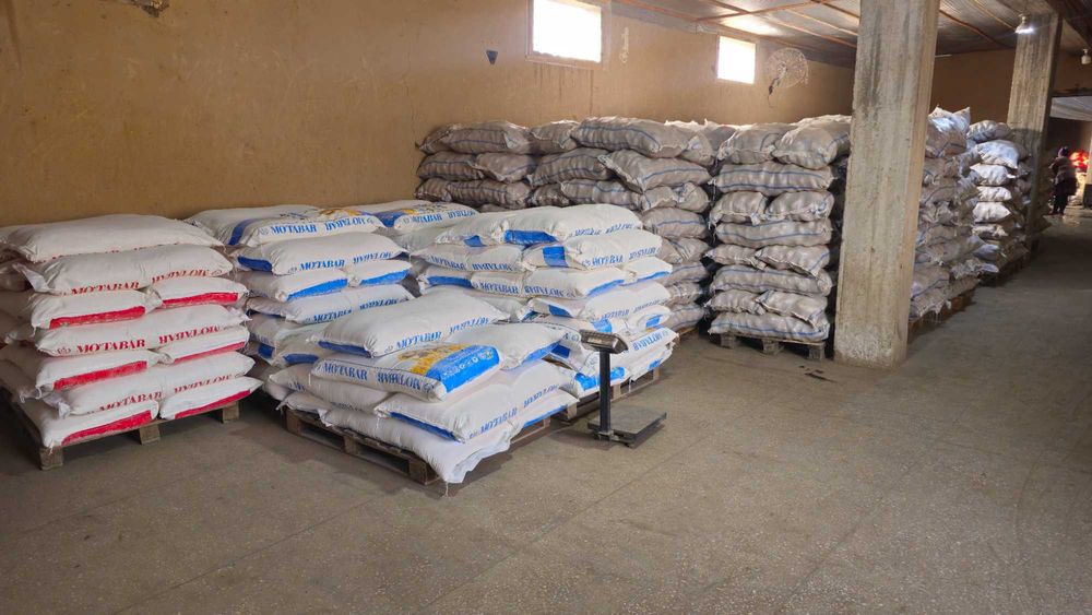 Kartoshka Piyoz Optom