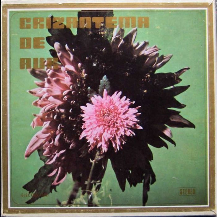 Romica Puceanu, Dona SIMINICĂ, Gabi LUNCĂ, Maria TĂNASE, Ghe Zamfir