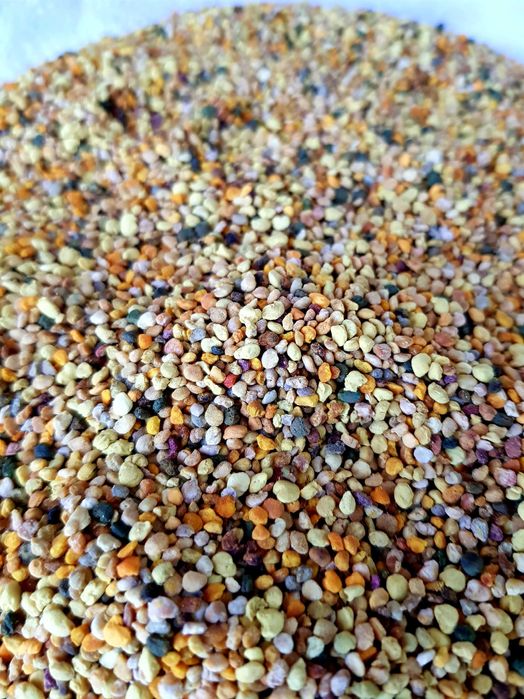 Пчелен прашец, реколта 2025 година