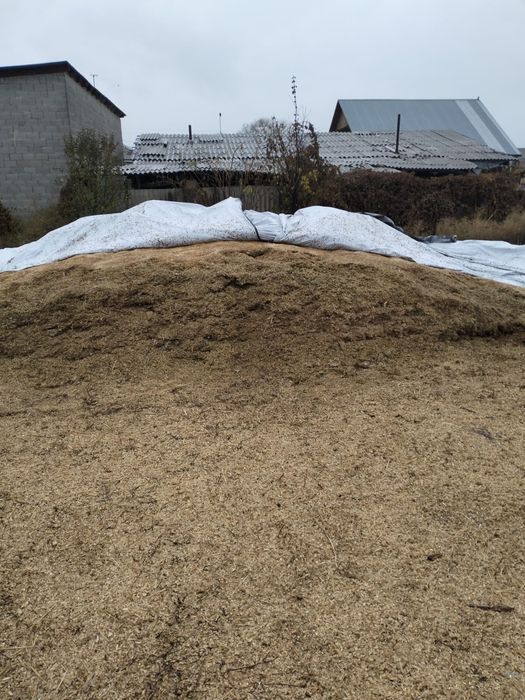 Продам силос тонна 35 тысяч есть обмен на скот