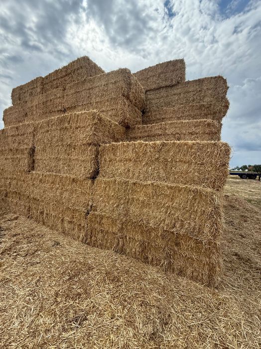 Baloti de paie dreptughiulari