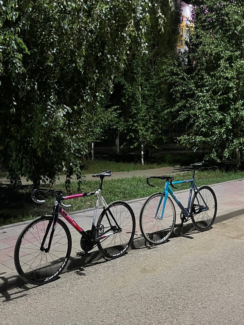 fixed gear  wnr.