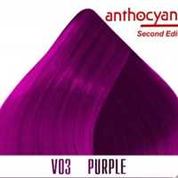 Стойкая краска для волос Anthocyanin